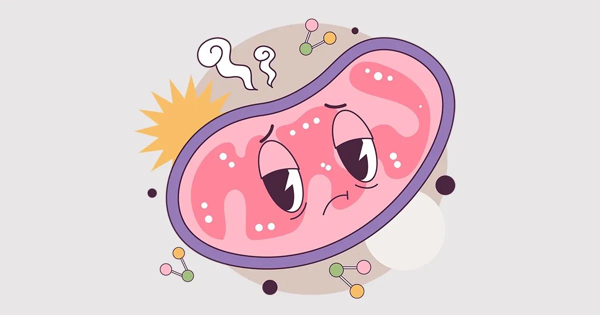 Usted está expuesto todos los días a este peligro invisible que causa disfunción mitocondrial