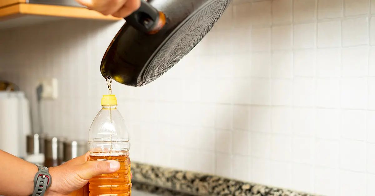 Las investigaciones más recientes sobre los mejores aceites para cocinar