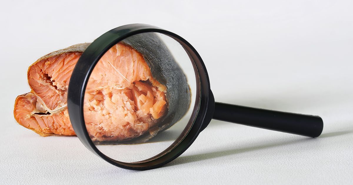 ¿Por qué se interrumpió el proyecto del salmón modificado con bioingeniería?