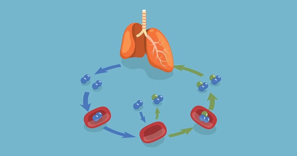 Este gas es un increíble aliado para su salud y longevidad