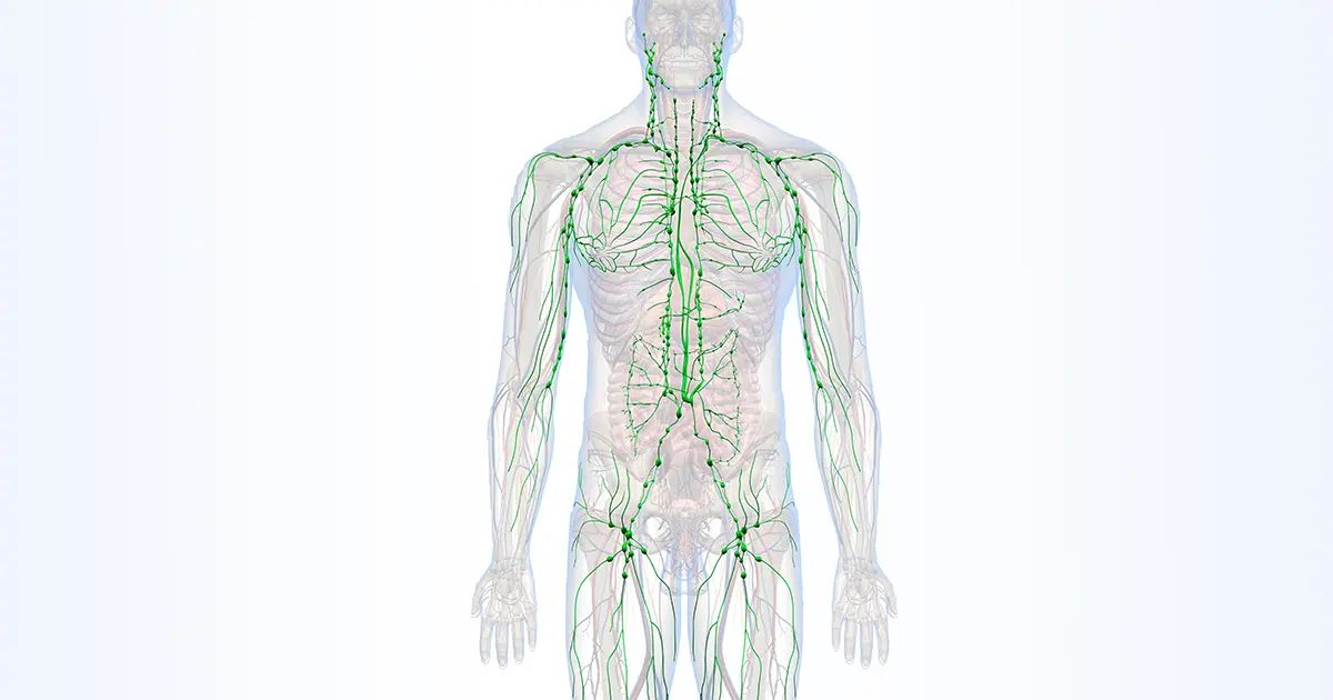 La forma más fácil de eliminar toxinas y de recargar su sistema inmunológico