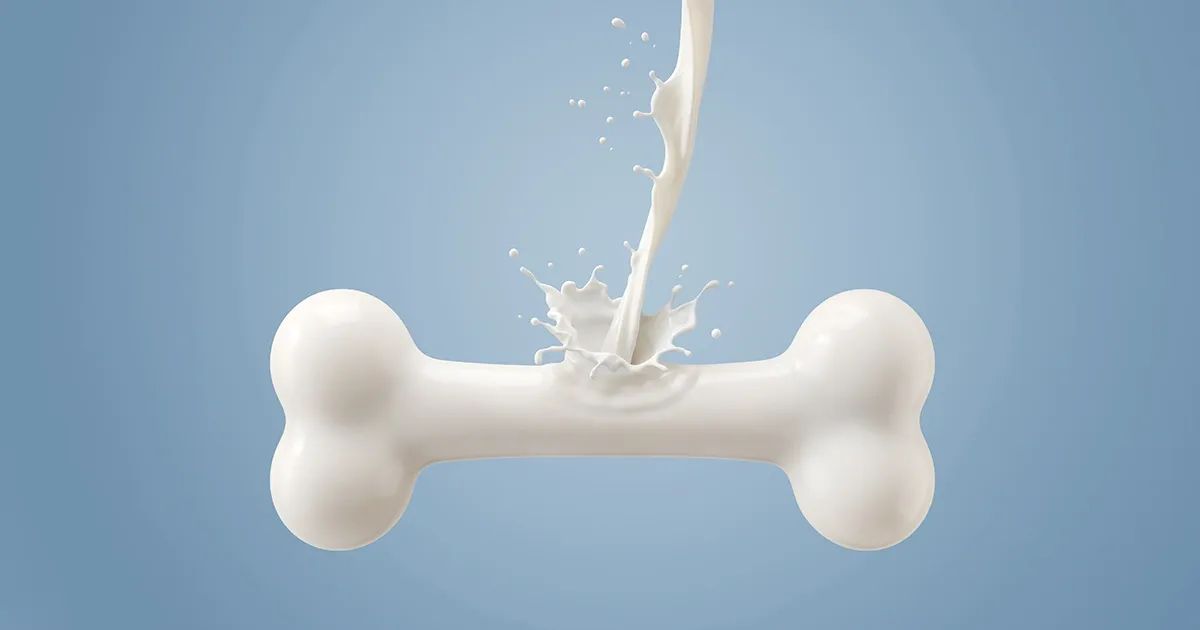 Consuma más de este delicioso alimento para evitar la osteoporosis