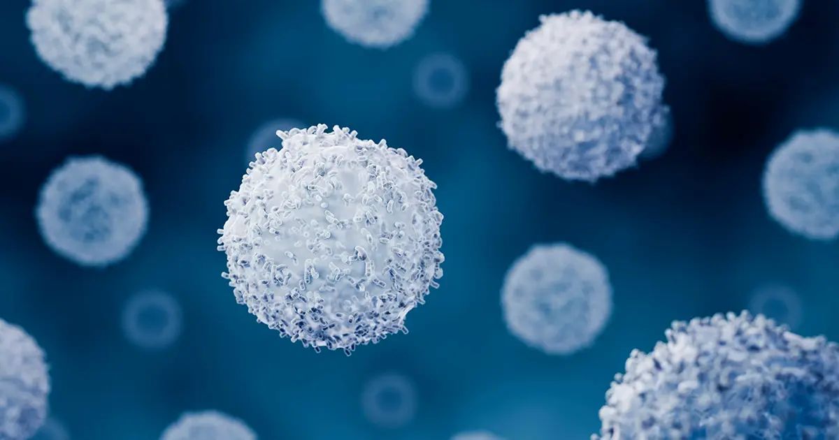 La epidemia silenciosa de un sistema inmunológico debilitado