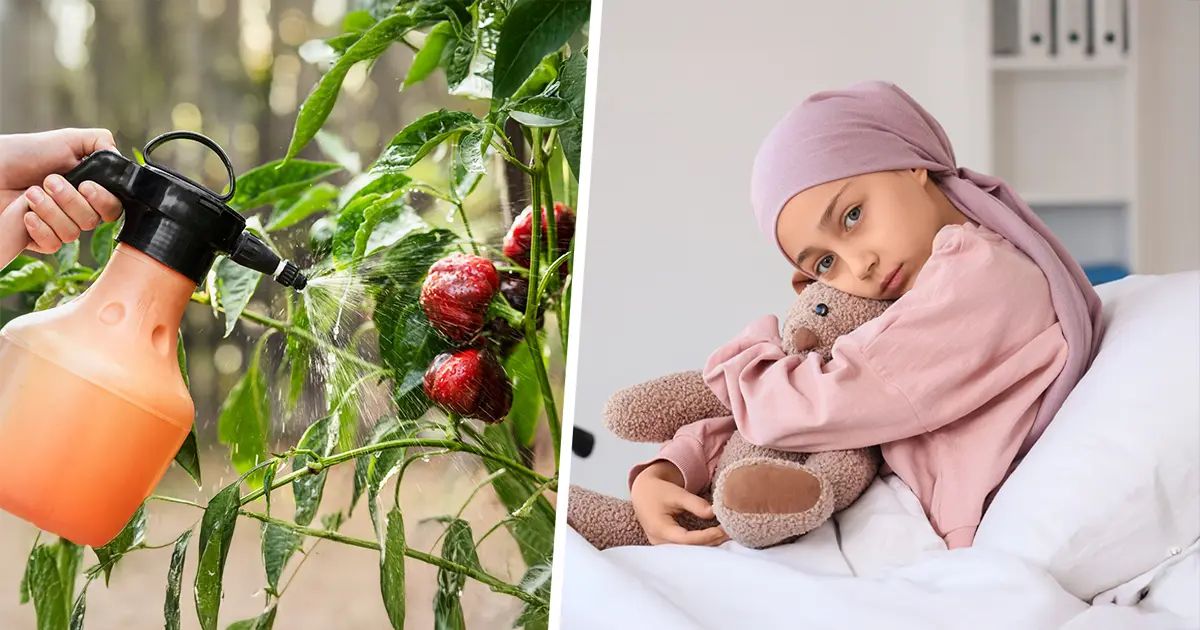 Residuos de estos químicos en el ambiente están ligados al cáncer