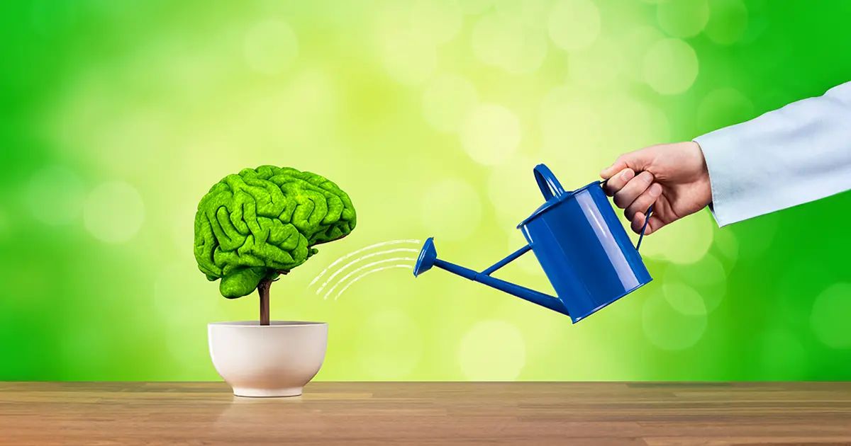 ¿Quiere mantener su memoria intacta? Incorpore esta sencilla actividad a su rutina