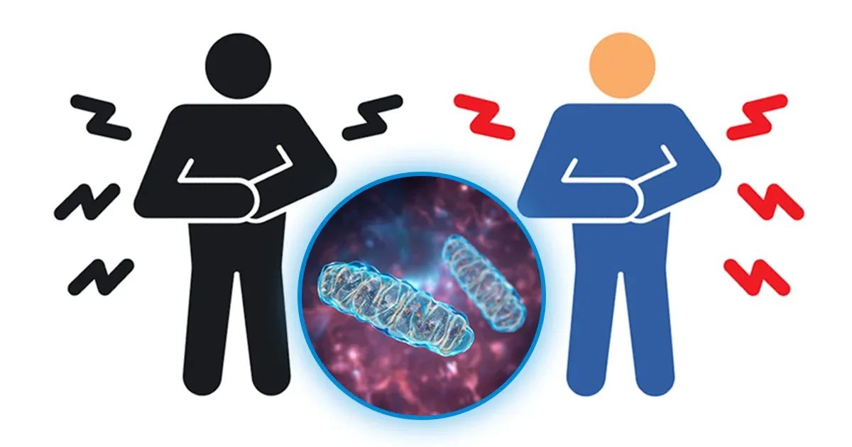 El secreto que podría poner fin a su inflamación crónica