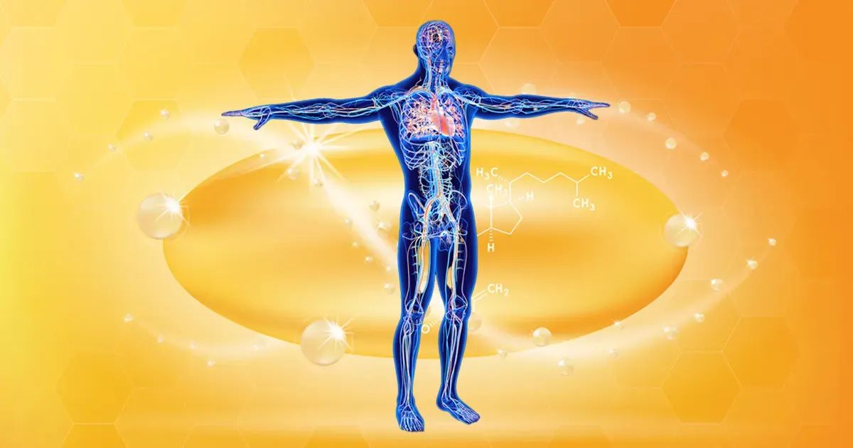 La vitamina que su sistema circulatorio necesita para no colapsar