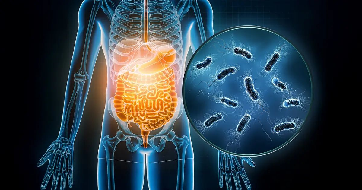 Cuando el intestino pierde equilibrio, incluso las bacterias “buenas” pueden dañarlo