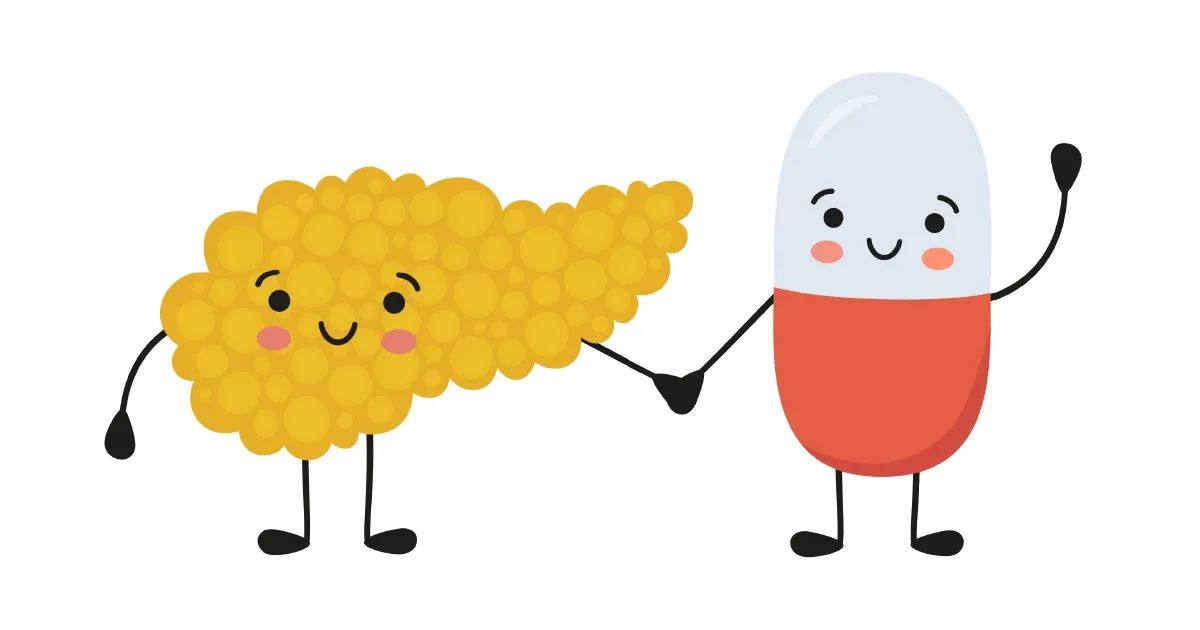 El órgano olvidado: su páncreas necesita esta vitamina urgente