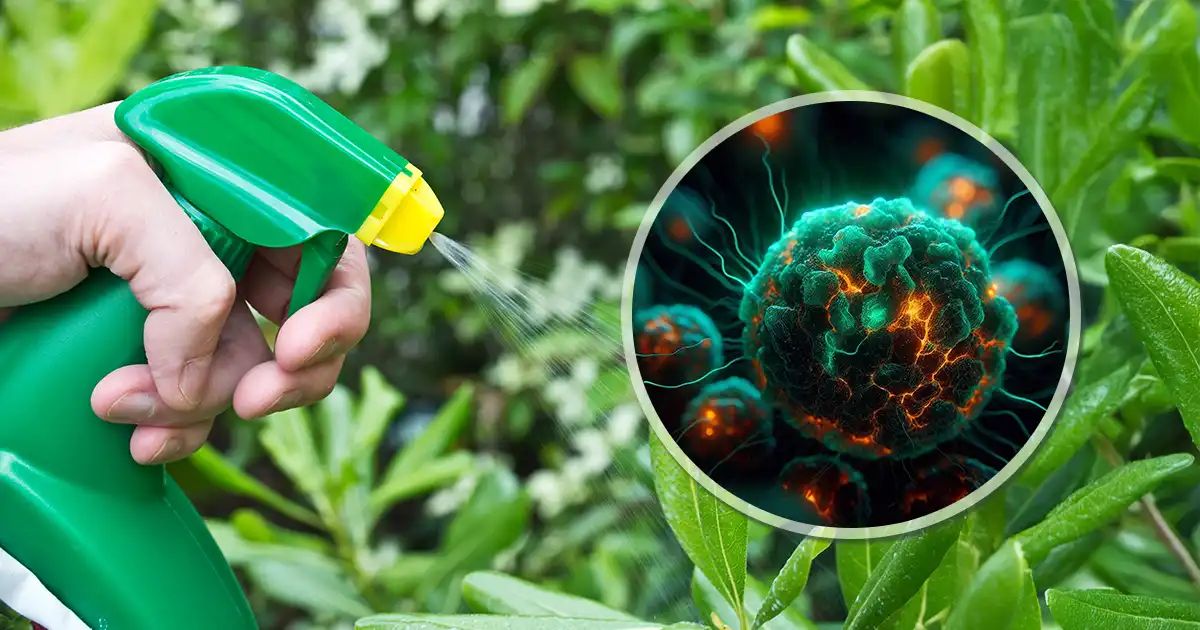 Lo que millones consumen a diario sin saber que dispara el cáncer en múltiples órganos