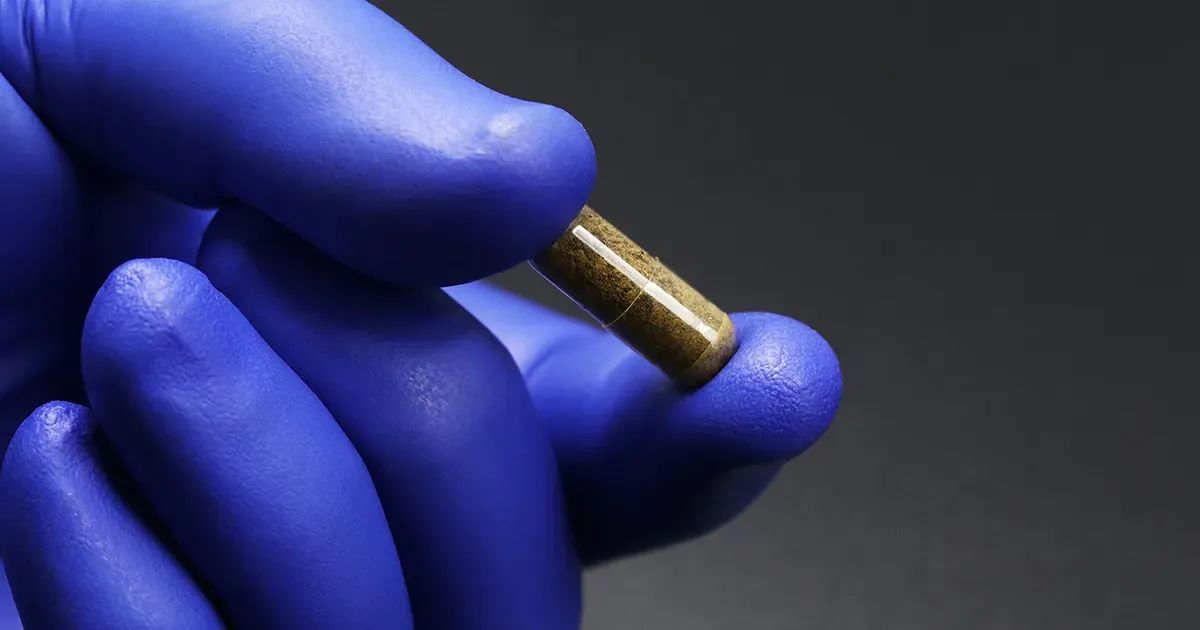 La terapia que restaura la diversidad y desactiva infecciones persistentes