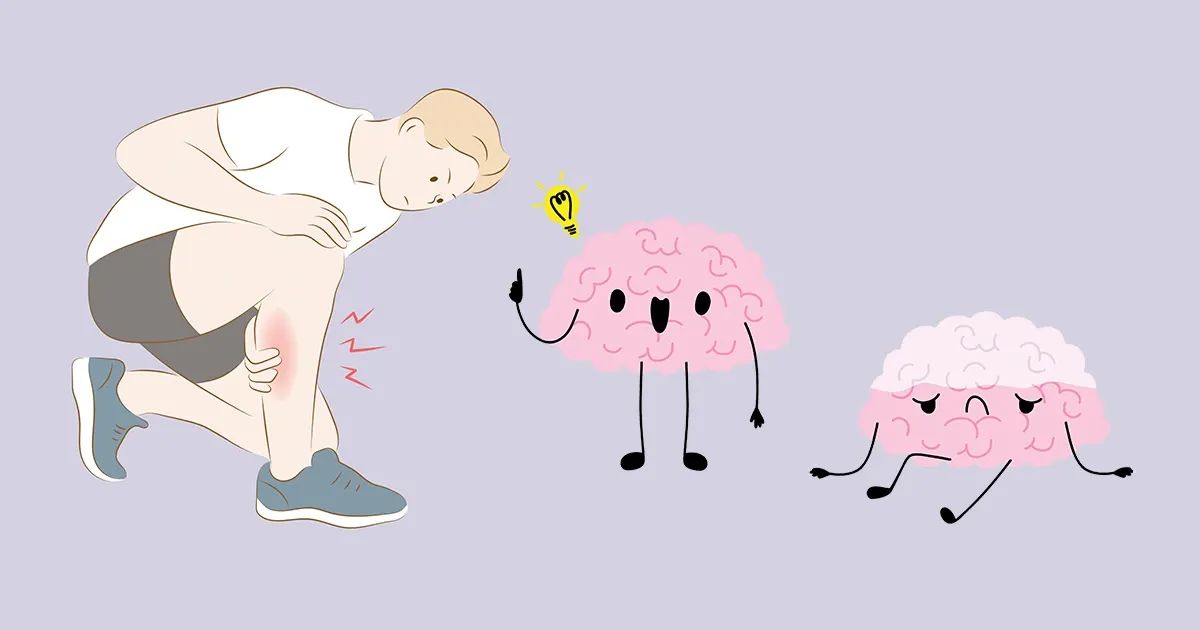 ¿Qué revela esta zona del cuerpo sobre el futuro de su cerebro?