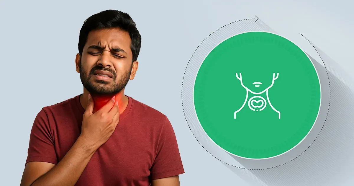 ¿Qué función vital cumple este relieve del cuello que casi nadie explica?