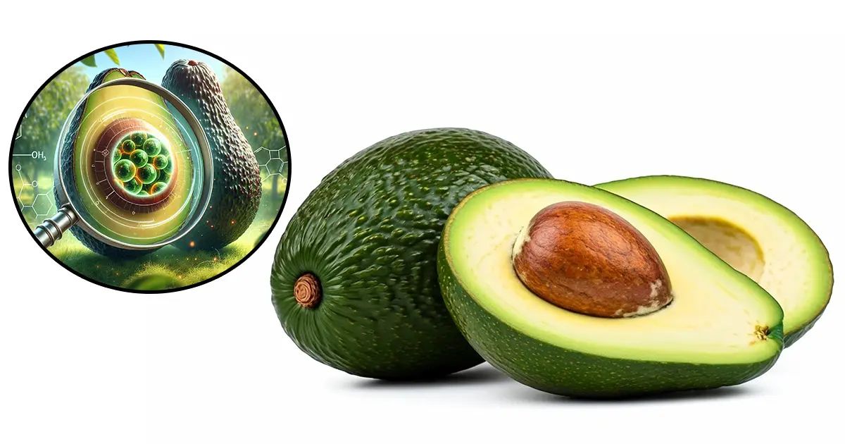 ¿Aguacate contra el cáncer? Lo que descubrieron sobre esta fruta está sorprendiendo a investigadores