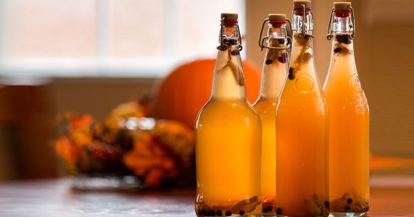 ¿Qué es el té de kombucha?