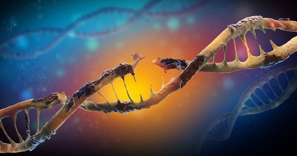 Estos químicos provocan enormes cambios en el ADN y defectos de nacimiento