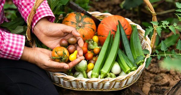 Consuma productos orgánicos