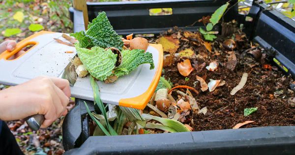 Cómo hacer composta y reciclar de forma correcta