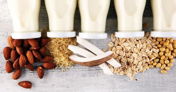 El debate sobre los lácteos: ¿Las bebidas sin lactosa deberían etiquetarse como "leche"?