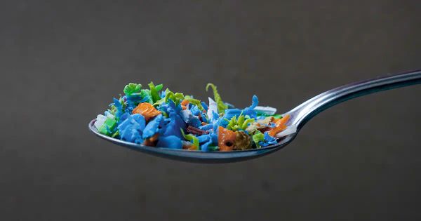 Investigadores encontraron microplásticos en muestras fecales