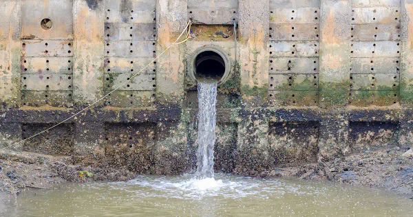 Las compañías farmacéuticas son responsables de la gran contaminación ambiental