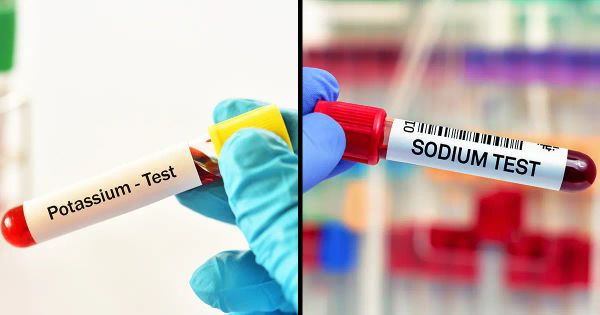 Por qué es importante la relación sodio/potasio