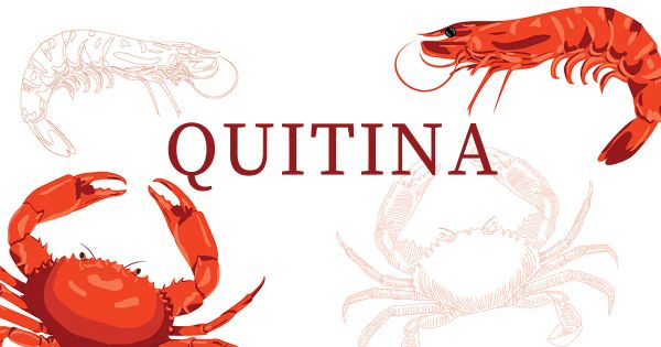 ¿Debería consumir quitina?