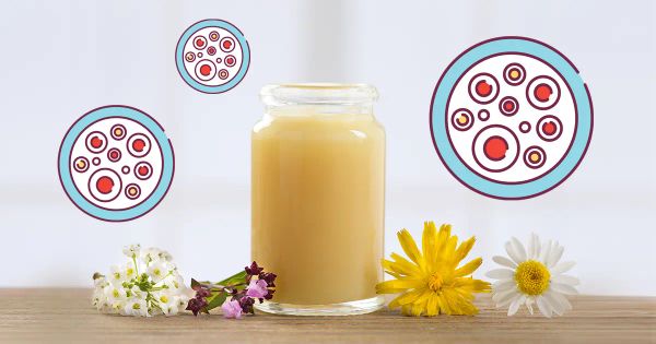 La jalea real muestra resultados prometedores en la investigación de células madre