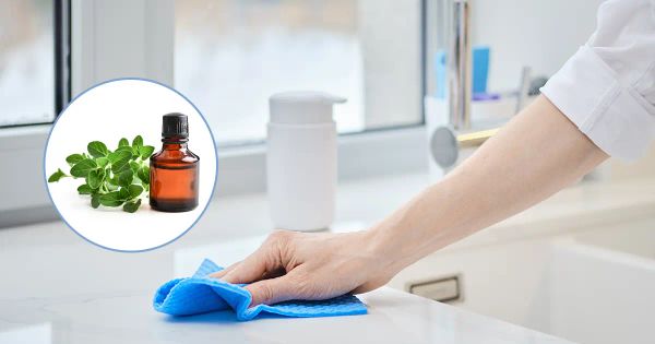 Por qué es buena idea limpiar con aceite de orégano