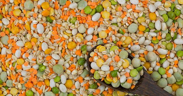 Cómo reducir las lectinas en la alimentación