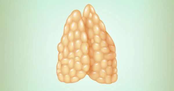 5 señales de que este importante órgano no funciona de manera adecuada