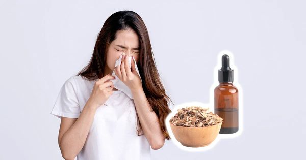 El poder del extracto de corteza de sauce