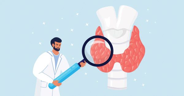 El verdadero triangulo del bienestar y la salud: dieta, tiroides y energía