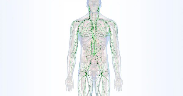 La forma más fácil de eliminar toxinas y de recargar su sistema inmunológico