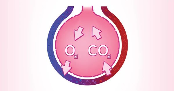 8 razones por las que necesita más de este gas “peligroso”