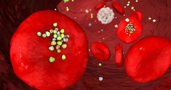 Estos contaminantes podrían dañar sus arterias e incrementar el riesgo de infarto