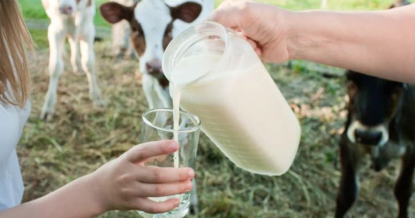 La bebida saludable que ha sido difamada desde 1945