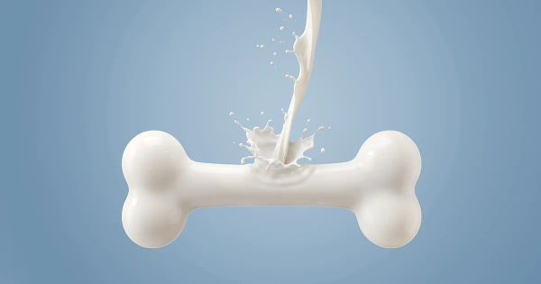 Consuma más de este delicioso alimento para evitar la osteoporosis