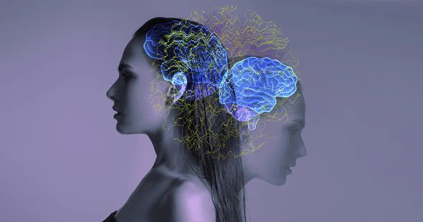Seis maneras de mantener una función cognitiva óptima a medida que envejece