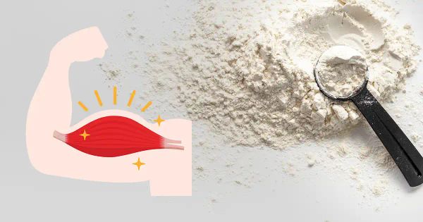 Los alimentos clave para desarrollar músculo rápidamente