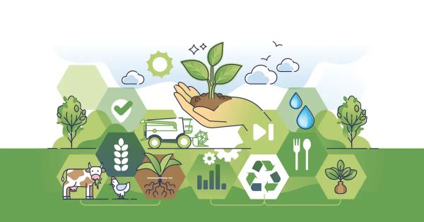 El tipo de agricultura que todos debemos apoyar para un mejor futuro