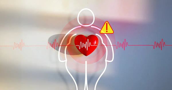 El nuevo enfoque para comprender la obesidad