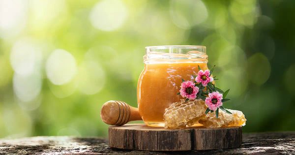 ¿Cuál es el verdadero poder detrás de este remedio natural?