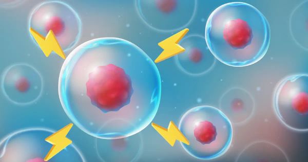 No ignore a su cuerpo: este es el combustible que sus células piden a gritos