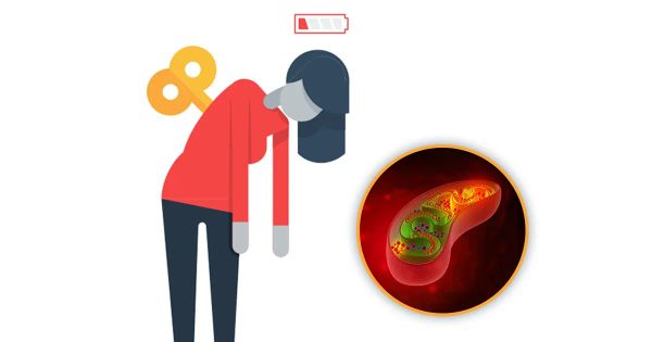 ¿Siente fatiga todo el tiempo? La explicación va más allá de lo evidente