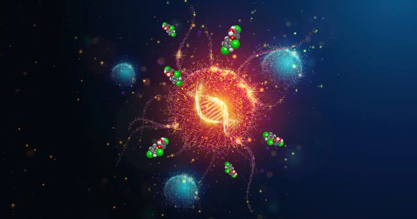 Un ingrediente disruptivo que altera su equilibrio hormonal y promueve el cáncer