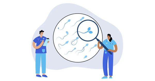 Este reflejo íntimo de su salud tiene conexión con su longevidad