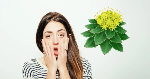 Reduzca el cansancio con este sencillo remedio natural