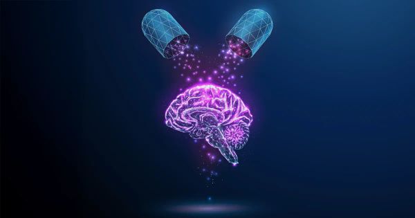 Una vitamina olvidada que podría frenar el envejecimiento del cerebro
