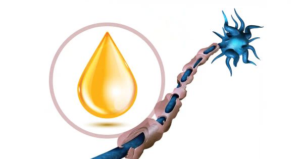 Esta vitamina puede ayudar a frenar el avance de la esclerosis múltiple temprana